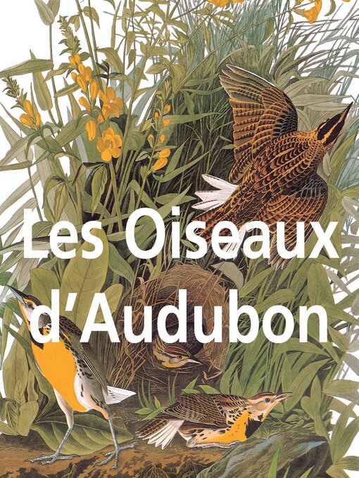 Title details for Les Oiseaux d'Audubon by John James Audubon - Available